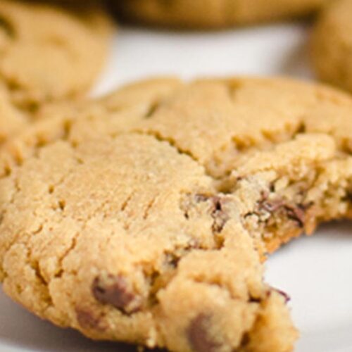 Peanut Butter Chocolate Chip Cookies | Twisted Tastes